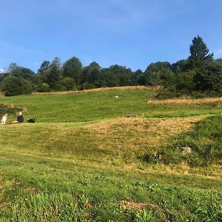 La Maisonnee Heureuse - Vue Montagne * La Bresse